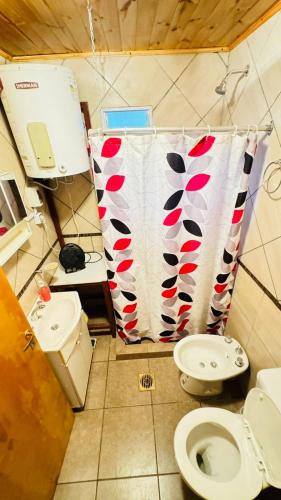a bathroom with a toilet and a shower curtain at Bella Vista valle del sol potrerillos in Potrerillos