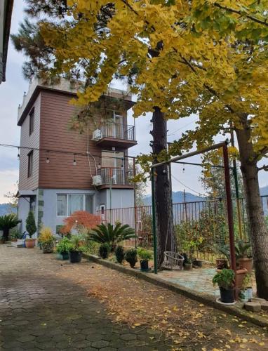 a house with a tree with yellow leaves on it at GT House Batumi in Batumi