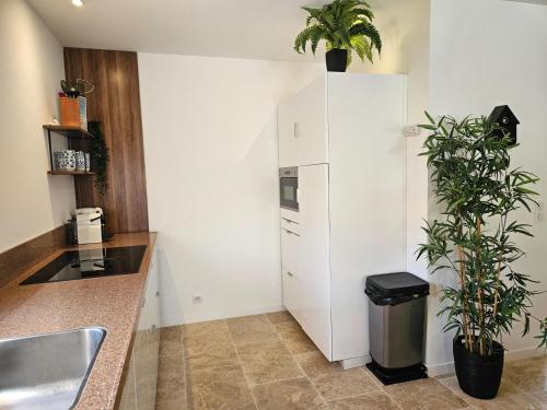 普朗德拉图尔Bambou的厨房里有一台白色冰箱和两盆植物。