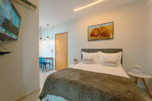 a bedroom with a large bed and a tv at Lindo e Confortável Espaço - MEL509 in Maringá