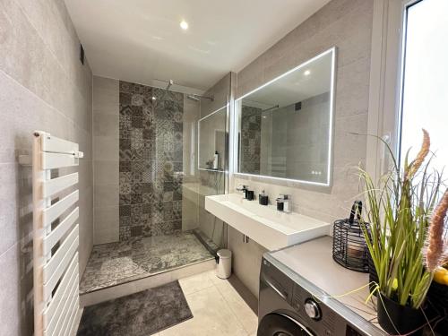 une salle de bain avec un lavabo et une douche avec un miroir dans l'établissement Appartement Rooftop, à Montmorency