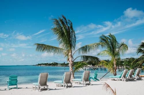a group of chairs and palm trees on a beach at Guana Beach Inn in Great Guana Cay