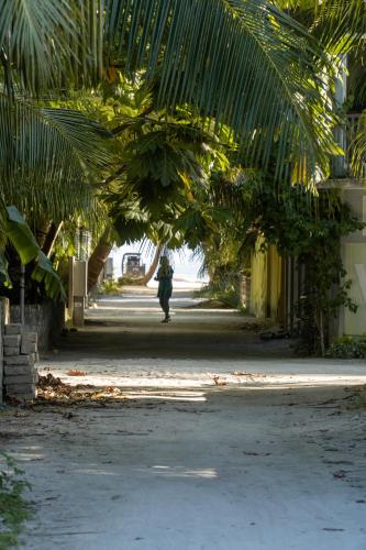 a person walking down a street with a bunch of banana trees at Casa De Himandhoo in Himandhoo 