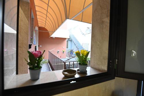 a window with two potted flowers on a table at B&B "LE CAMERE" Luxury Rooms SIRACUSA in Siracusa
