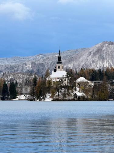 a church on an island in the middle of a lake at Alice Chalet Bled - Adults only in Bled