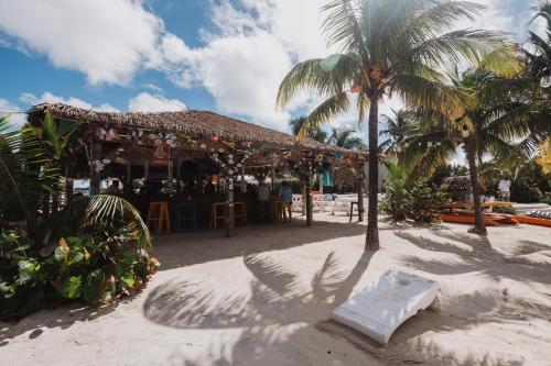 a bar on the beach with palm trees and a beach at Guana Beach Inn in Great Guana Cay