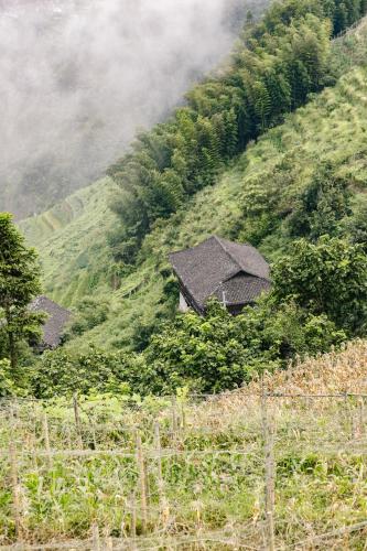 Gallery image of Rice View Lodge in Longsheng