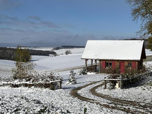 a house with a snow covered roof in a snowy field at Le chevrais in Fournaudin