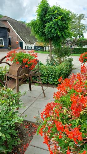 a flower garden with red flowers and a bench at Chalet 4, Recreatie aan de Vecht in Weesp