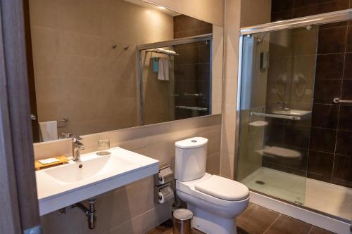 a bathroom with a toilet and a sink and a shower at Terrado Arturo Prat Iquique in Iquique
