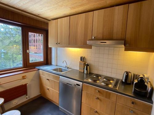 eine kleine Küche mit Spüle und Geschirrspüler in der Unterkunft Courchevel 1850 in Courchevel
