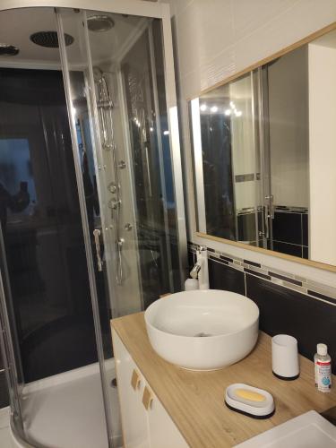 a bathroom with a sink and a glass shower at Bienvenue chez Coco in Dunkerque