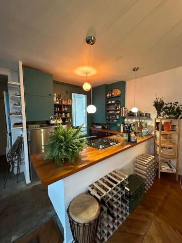une cuisine avec un comptoir et un plan de travail dans l'établissement Grand loft Montmartre, à Paris