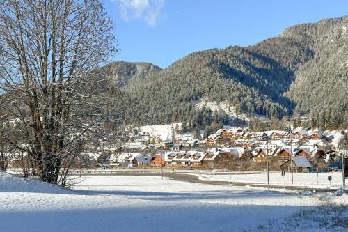 a village in the snow with mountains in the background at Da Frida Casa Vacanze Tarvisio in Tarvisio