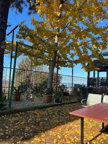 a tree with yellow leaves next to a picnic table at GT House Batumi in Batumi