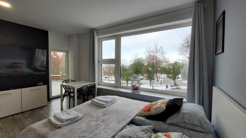 a bedroom with a table and a large window at Apartamenty Parkowe nr 5 in Kwidzyn