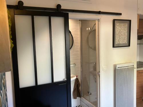 La salle de bains est pourvue d'une douche et d'une porte noire. dans l'établissement Le Merle Rose, à Toulouse