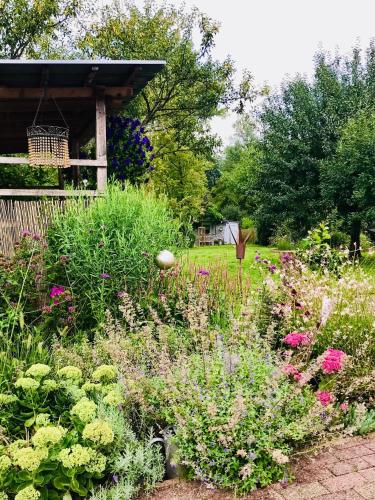 Taman di luar Ferienwohnung Suzanne mit Außenbereich