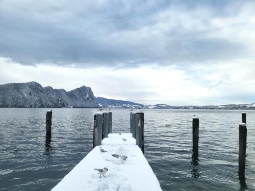two birds sitting on a dock in the water at Rigi Paradise in Vitznau, Lake access, Ferry Terminal, Rigibahn, Restaurants all 2 minutes walking distance in Vitznau