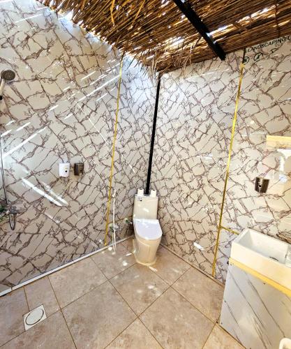a bathroom with a toilet in a stone wall at Al Salam Desert Camp Bidiya in Bidiyah