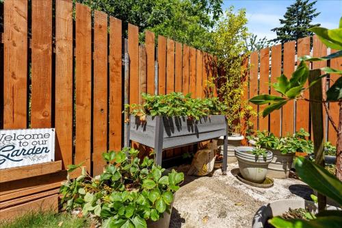 a garden with plants in a wooden fence at Sunstone House in Portland