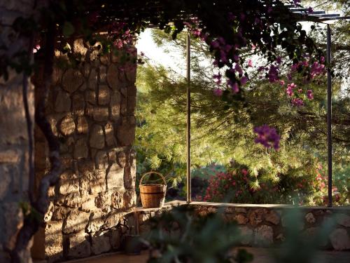 Κήπος έξω από το Strofilia Stone Residences