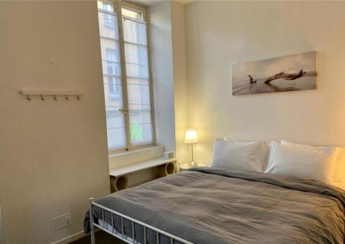 une chambre avec un lit et une fenêtre dans l'établissement Le Tassigny - Centre ville - proche cité médiévale- Wifi - idéal famille, couple et pro, à Carcassonne