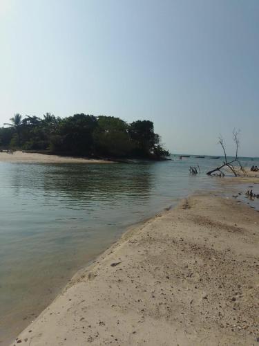an empty beach with trees in the water at Villa Karina B&B in Itaparica Town