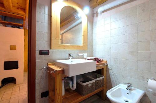 a bathroom with a sink and a mirror at Baita Mountain View Pale San Martino in Fiera di Primiero