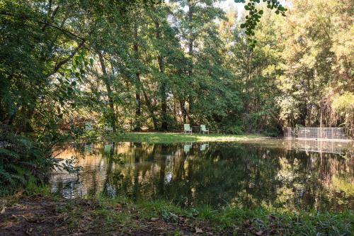 a body of water with trees and a pond at Hotel Salto Del Laja in Los Ángeles