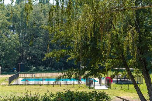 a swimming pool in a park with a tree at Hotel Salto Del Laja in Los Ángeles