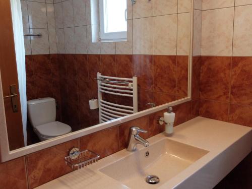 a bathroom with a sink and a mirror and a toilet at Apartments Sunce in Brna