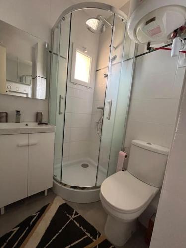 une salle de bain avec toilettes et douche en verre dans l'établissement La Belle Mer, à Leucate-Plage