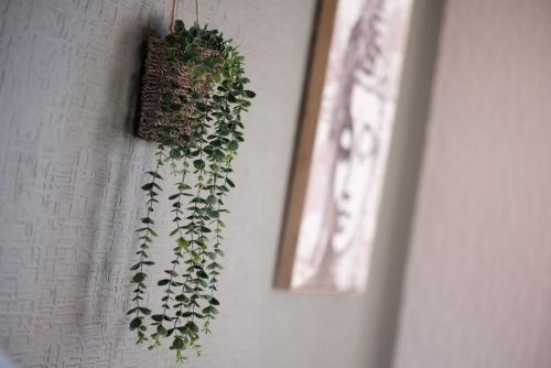 a plant hanging on a wall next to a picture at The Eastmount - Stunning 3 bed house in Hull
