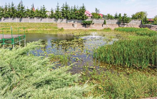 a pond in a field with tall grass at Nice Home In Solec Wlkp, With Wifi in Sulęcinek