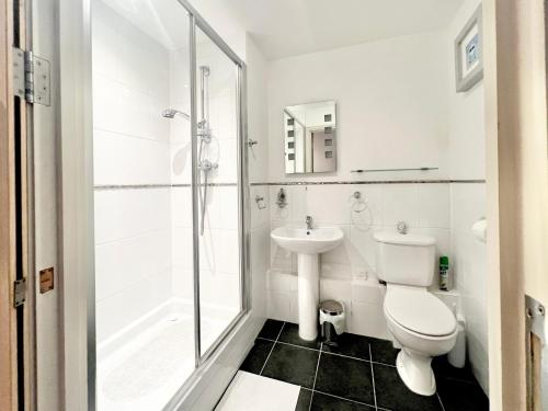 a bathroom with a toilet and a sink and a shower at Central Spacious Ground Floor Flat with Courtyard in Kingsbridge