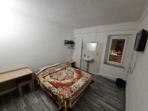 a hotel room with a bed and a sink at Hotel de la Gare in Briançon