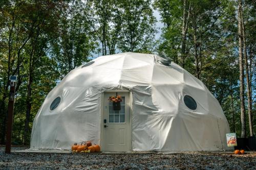 Ảnh trong thư viện ảnh của Romantic Dome Retreat for Couples ở Ellijay