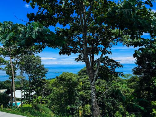 a view of the ocean through the trees at Canavida Villas & Resort in Uvita