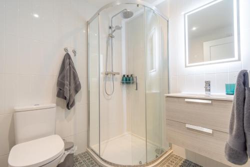 ein Badezimmer mit Dusche, Toilette und Waschbecken in der Unterkunft Duncan's Cottage at Royal Hillsborough in Hillsborough