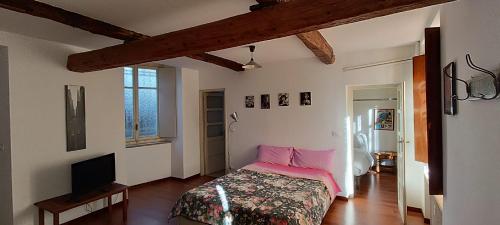 a bedroom with a bed with pink pillows and a television at Del Nobile Apartment II in Turin