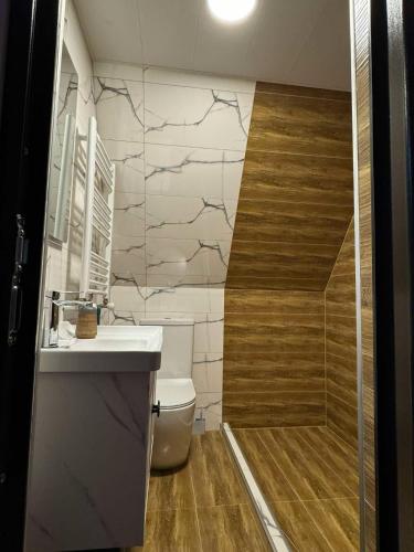 a bathroom with a shower and a toilet and a sink at Apex Cottages in Kazbegi