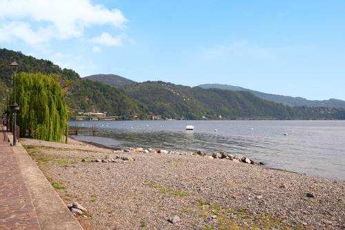 a flock of birds on the shore of a lake at Il Bacio del sole in Maccagno Inferiore