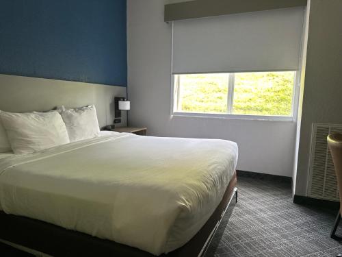a bedroom with a large bed and a window at Comfort Inn & Suites Cartersville - Emerson Lake Point in Cartersville