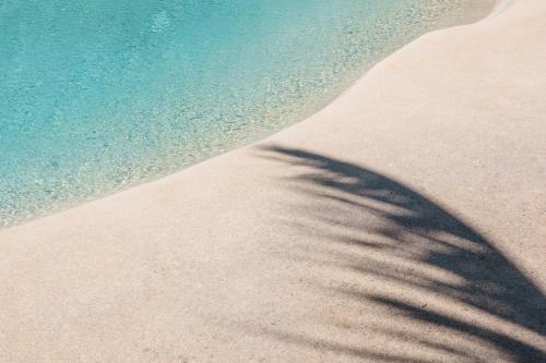 a shadow of a palm tree on a beach at Luxury Penthouse with Jacuzzi, 2 min to Beach in Mont Choisy