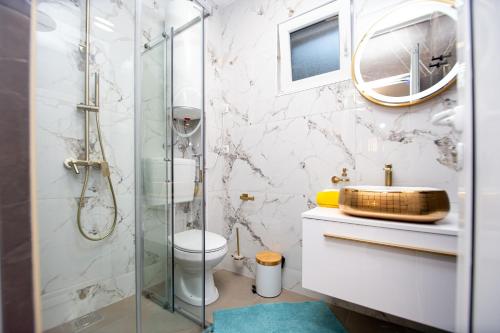a bathroom with a shower and a toilet and a sink at Stone Villa with pool Montenegro Star in Kaluđerac
