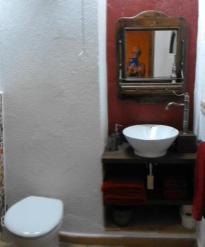 a bathroom with a toilet and a sink and a mirror at Mas Valoria in Peratallada