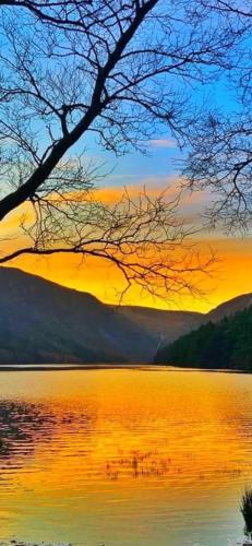a sunset over a lake with a tree in the foreground at The Cabin Pipershill in Newtown Butler