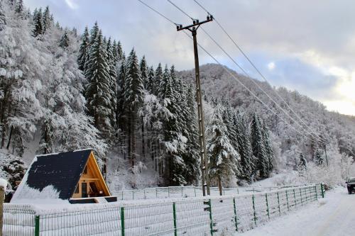Φωτογραφία από το άλμπουμ του Cabana Laica, România σε Petrila