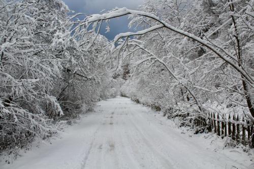 Φωτογραφία από το άλμπουμ του Cabana Laica, România σε Petrila